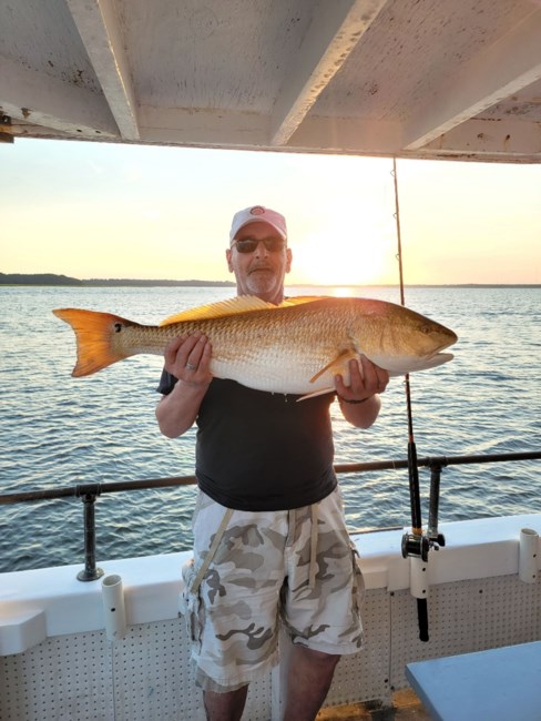 Obituary of Frank Rocco Decio