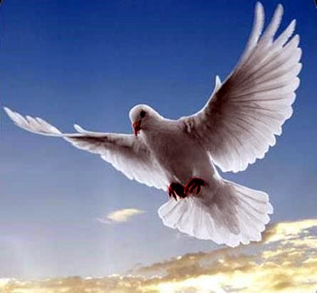 Obituary of Elizabeth Marshall