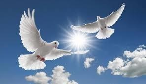 Obituary of Isidro Hernandez