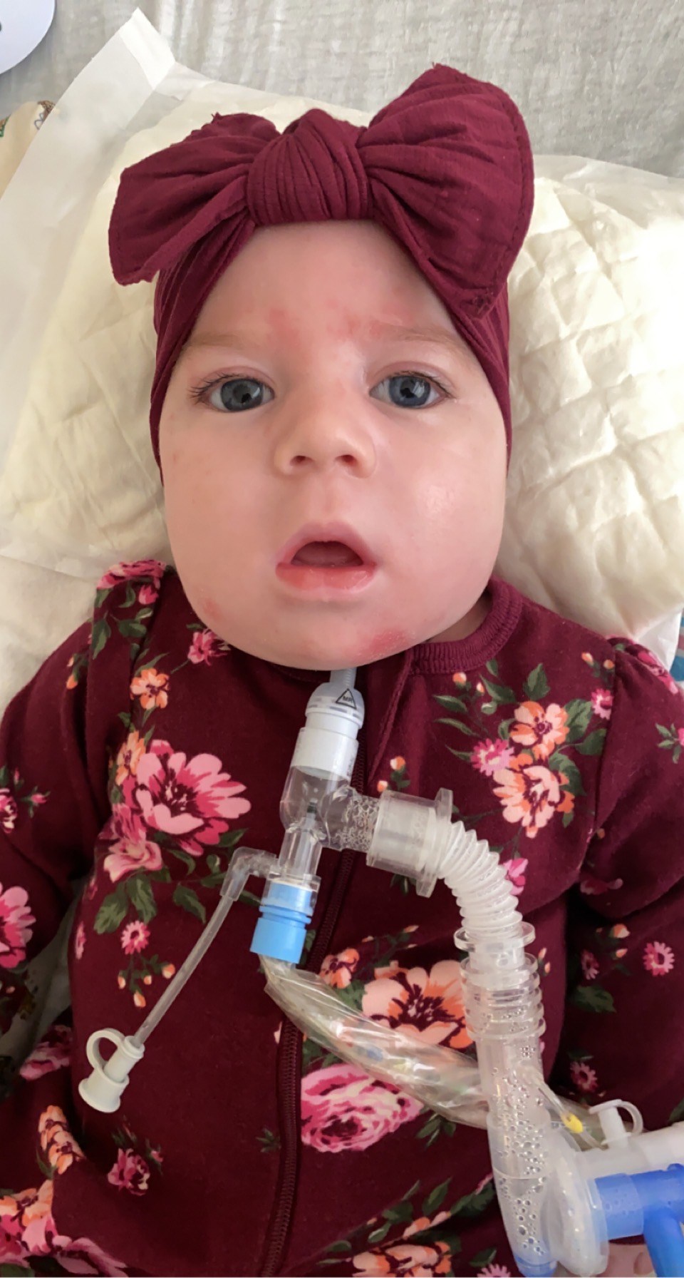 Obituary of Harper Nichole Nunez