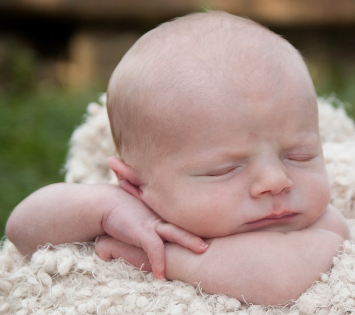 Obituary of Chase Robert Brogan