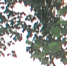 Mary Norvell Obituary Virginia Beach, VA