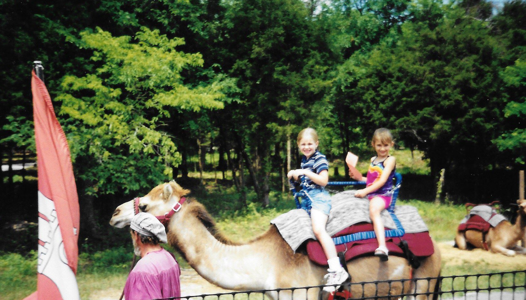 Taylor and Sons en Plastique camel ride. 