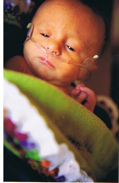 Obituary of Brooke Baby Johnson