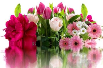 Obituary of Claydie Mae Hawkins