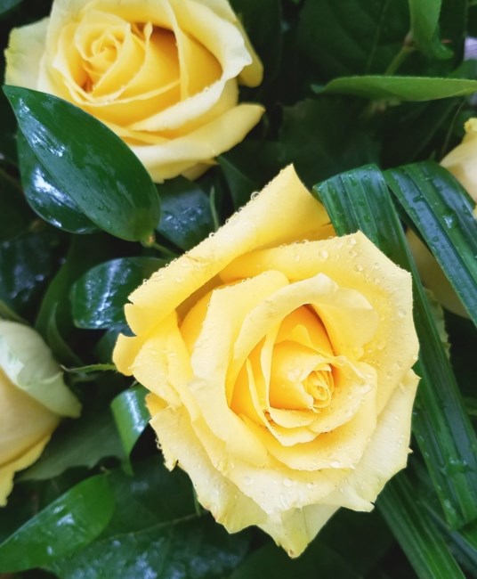 Obituary of Jane DuPont Kidd