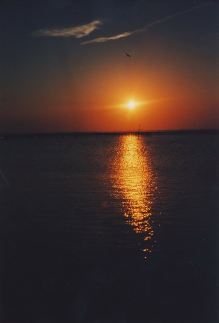 Obituary of Bruce H. Marlow