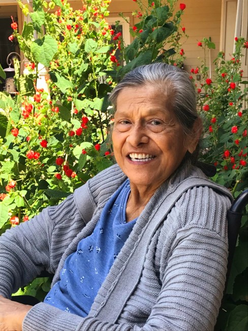 Obituary of Ms.  Mary Lena Vidal