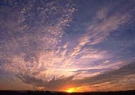 Obituary of Donald Jack Suggs