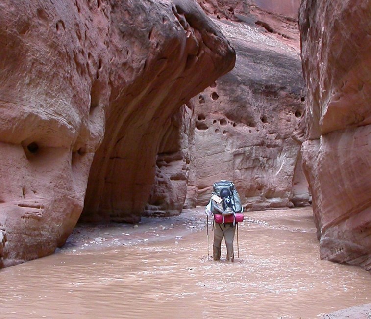 Obituary of Eric Christian Olson