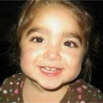 Obituario de Viviana Sofia Gugliotti