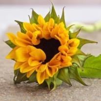 Obituary of Maria Del Carmen Ledezma Alvarez