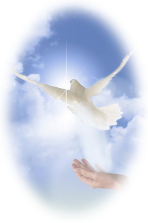 Obituary of Violet May Rhoads