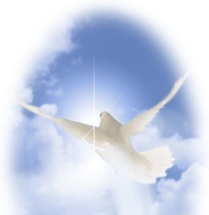 Obituary of Violet May Rhoads