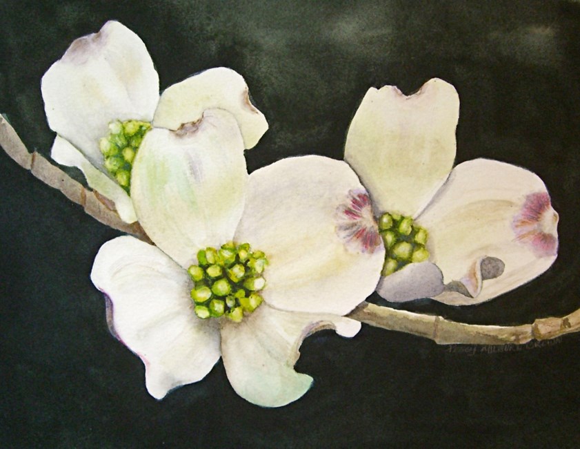 Avis de décès de Peggy Milburn Brown