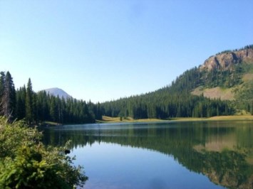 Obituary of Thomas L. Sims