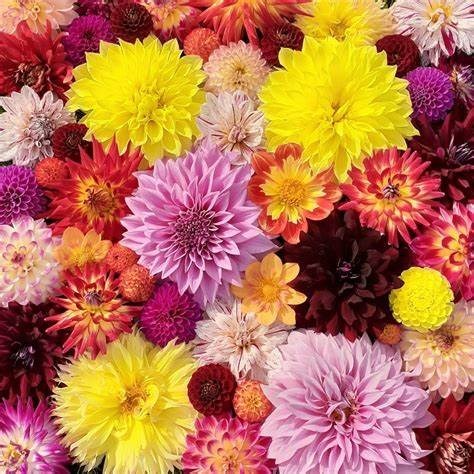 Obituary of Alberta Sage Gunther