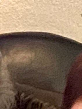 Alejandra G. Contreras Obituary Brownsville, TX