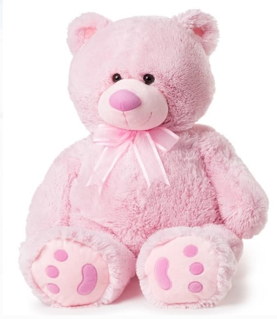 Obituary of Baby Siryi Virginia Vega Salazar