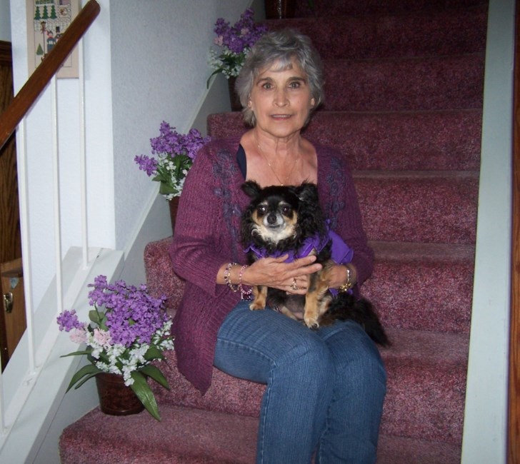 Obituary of Ann Bernice Mary DeSantis