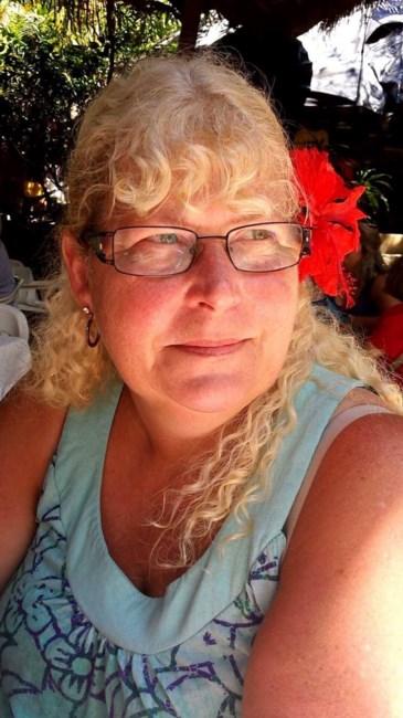 Obituary of Cindy Jean Bosa