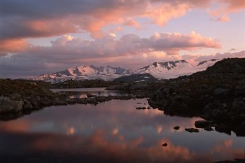 Obituary of Linda N. Schwartz