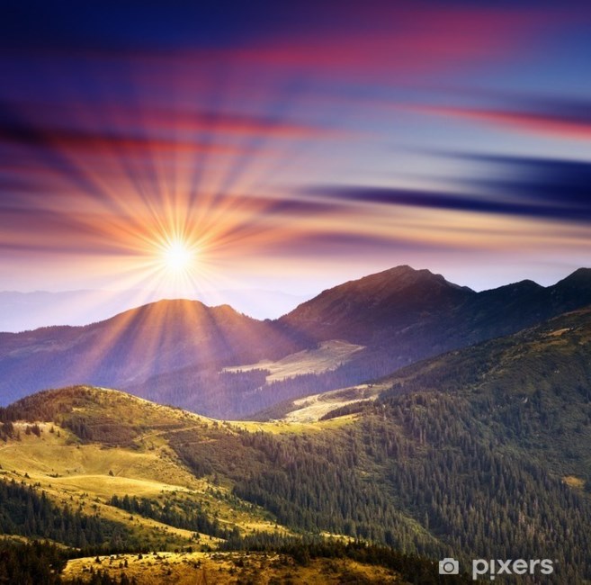 Obituary of Linda Jeanne Nugent