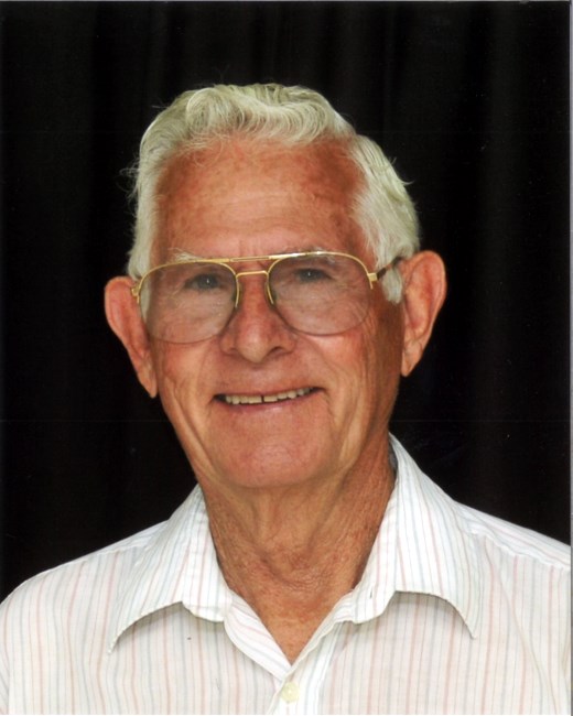 Obituary of Allen Dale Almer "Big Al"