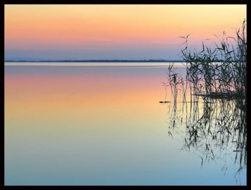 Obituary of Theresa J. Collura