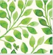 Obituary of Erica Quiles Ramos