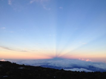 Obituary of Seymour Finkelstein