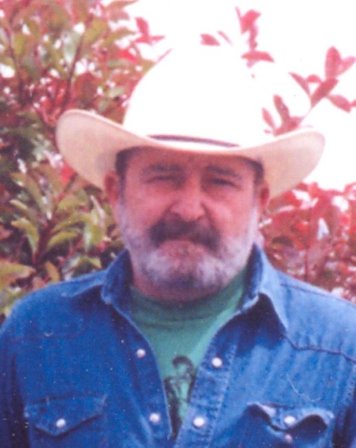 Obituary of Richard J. Halle, Jr.