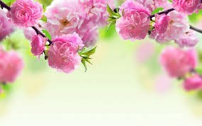 Obituary of Consetta E. DiBiase