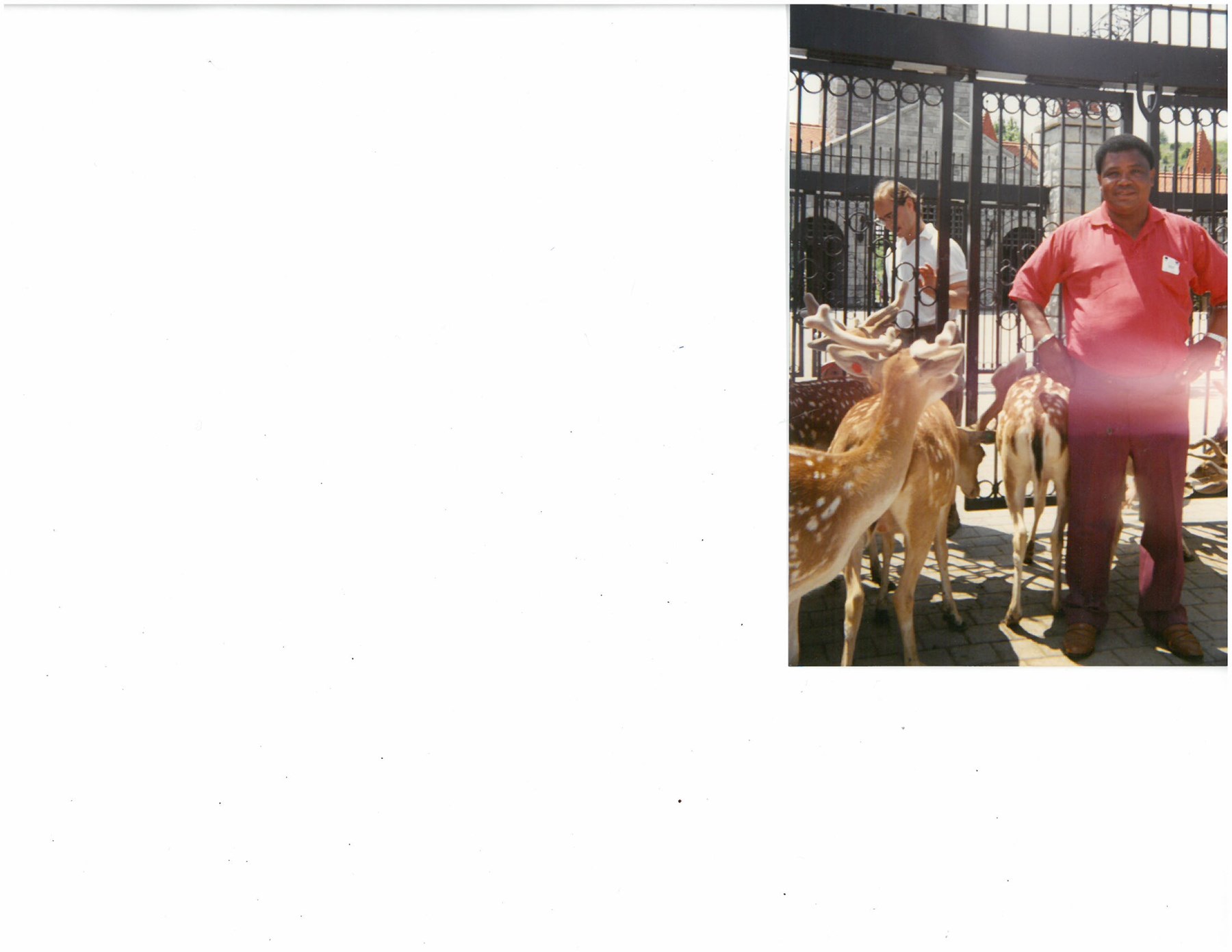 Obituary of Norman Demanley Smith