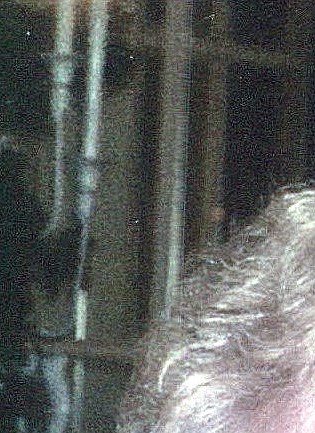 Edith Mae Thompson Obituary Peoria IL edith-mae-thompson-obituary-peoria-il