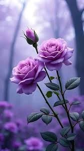 Obituary of Oralia Mascorro