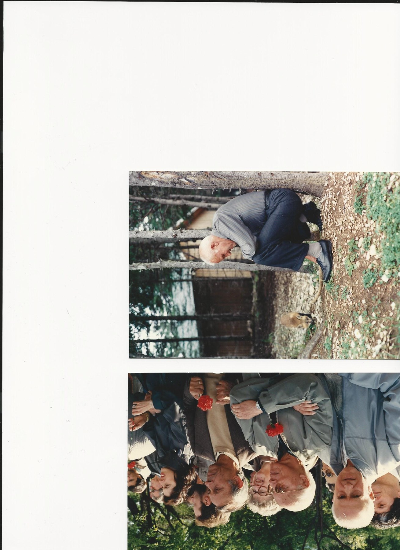 Avis de décès de Diogo Barcelos