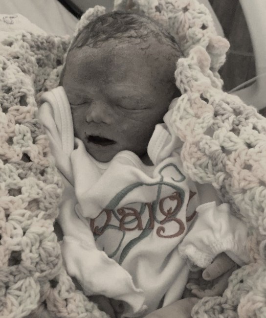 Obituary of Paige Lucile Conner