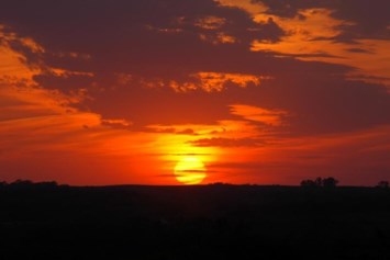 Obituary of Troy Patrick Evans