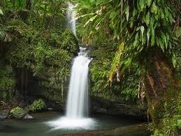 Obituary of José Rafael Nieves López