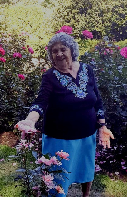 Obituary of Argelia Zamora