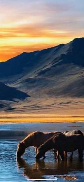 Obituary of Matthew Joseph Jennings