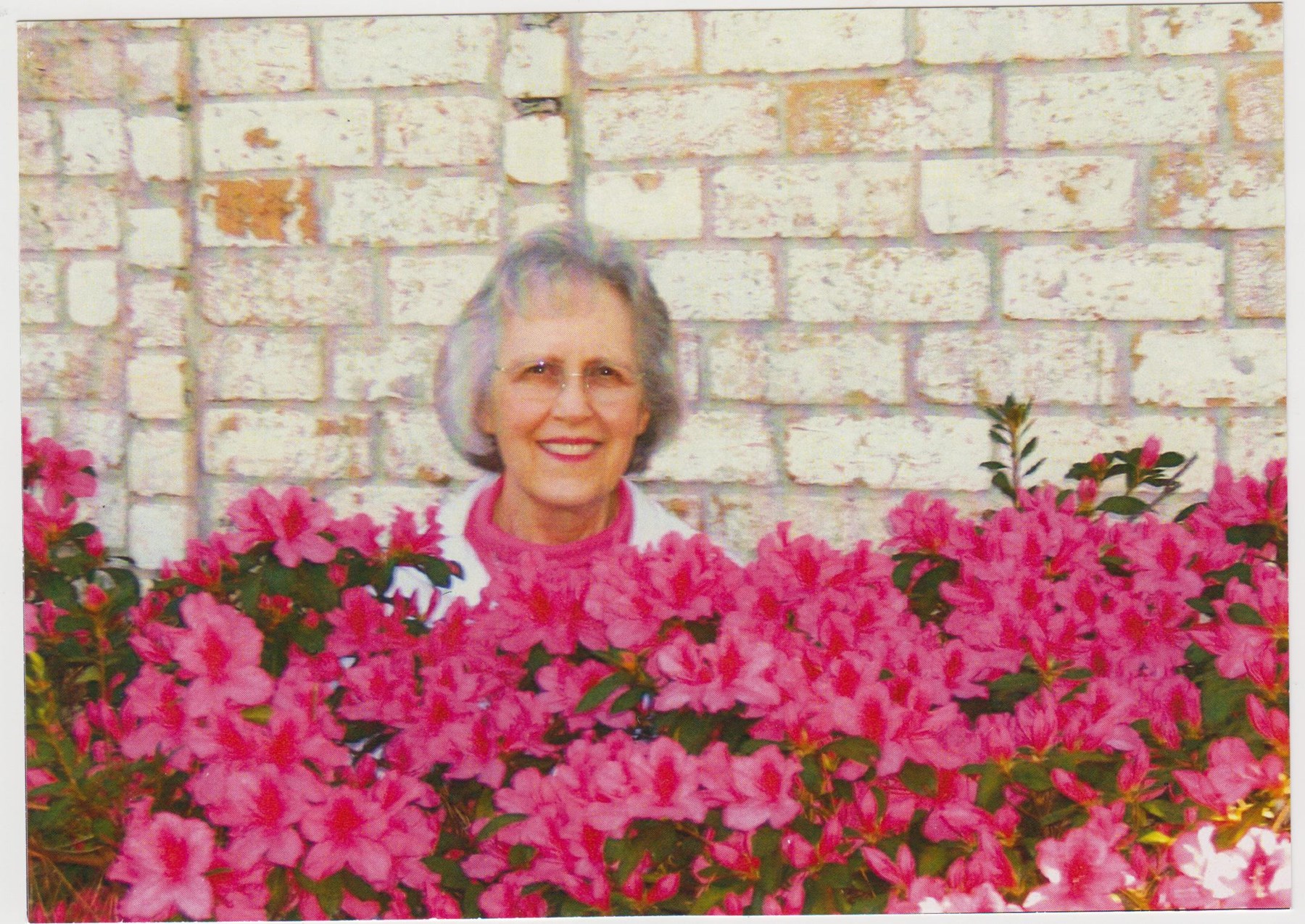 Obituary of Shirley Moore Noah