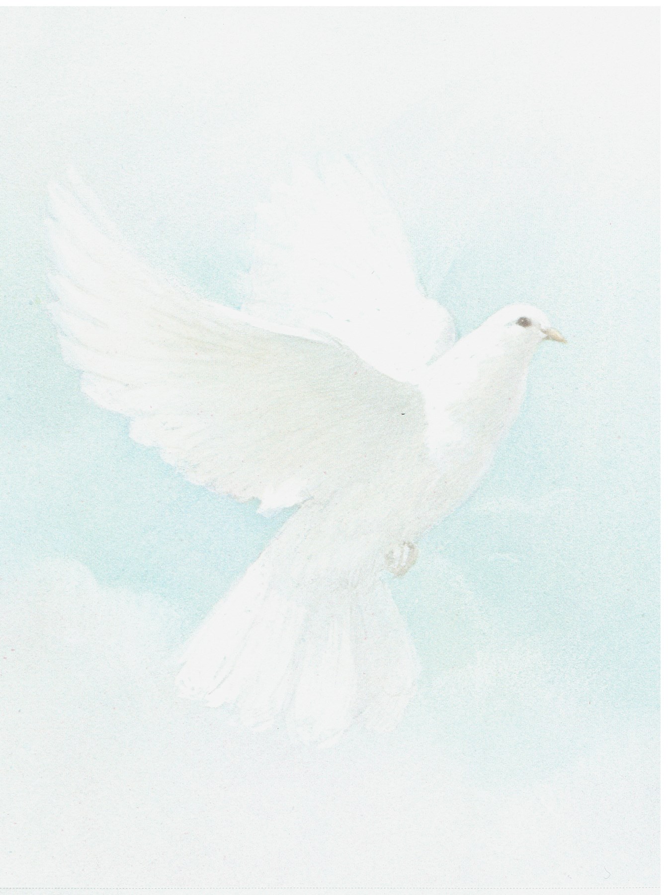 Obituary of Edward Jones Daniels Jr.