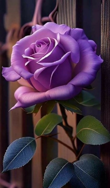 Obituary of Tina Renee Anthony