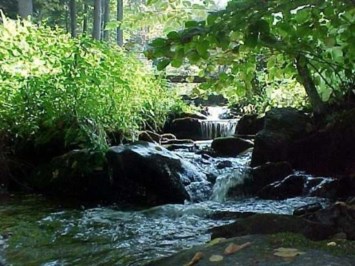 Obituary of Albert Jay Warren