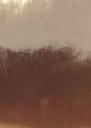 Moises S. Virelles Obituary Tampa, FL