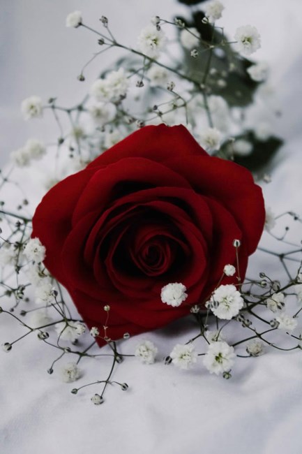 Obituario de Marilyn Joan Clarke