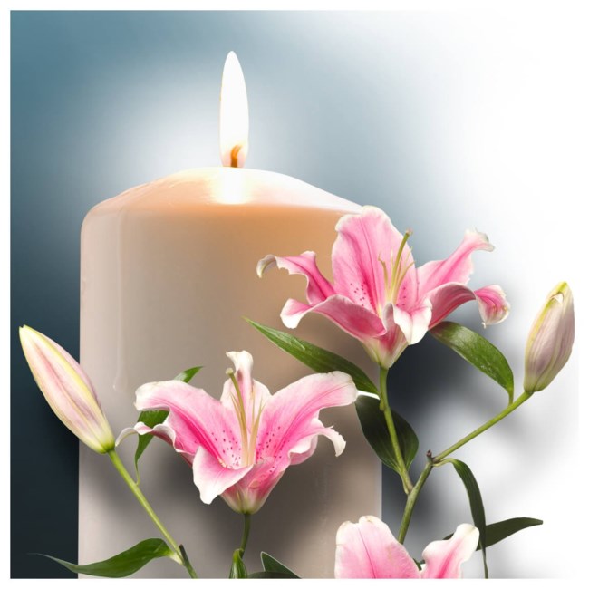 Obituary of Anaya Rose Santillano-Lopez