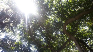 Obituary of Gerald Timothy Sullivan